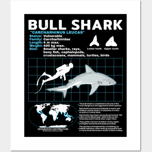 Bull Shark Fact Sheet Posters and Art